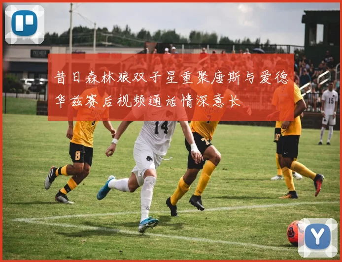 昔日森林狼双子星重聚唐斯与爱德华兹赛后视频通话情深意长